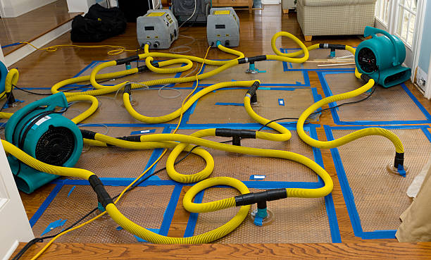 Professional Water Extraction technician working in Lyndhurst, OH